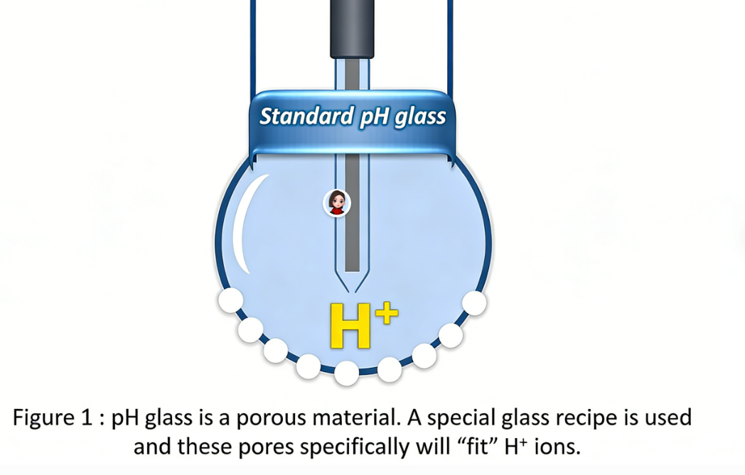 Antimony electrodes pH Sensor